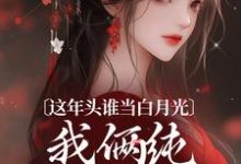 完结版《这年头谁当白月光，我俩纯纯走剧情》在线免费阅读-薯片文学