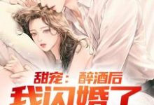 《甜宠：醉酒后，我闪婚了千金总裁》全集免费在线阅读（林南）-薯片文学