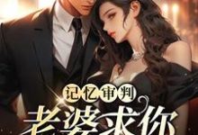 完结版《记忆审判：老婆求你看我一眼》在线免费阅读-薯片文学