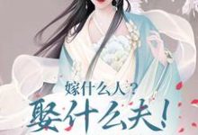 完结版《嫁什么人？娶什么夫！当然修仙啊》章节阅读-薯片文学