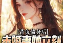 小说《背负债务后，未婚妻她立刻提了退婚》章节阅读-薯片文学