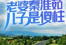 完结版《情满四合院：老婆秦淮茹，儿子是傻柱》章节目录在线阅读-薯片文学