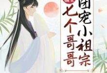 农门福宝：七个哥哥团宠小祖宗顾柠傅小九，农门福宝：七个哥哥团宠小祖宗章节在线阅读-薯片文学