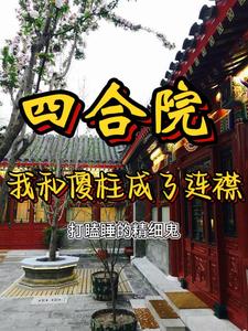 小说《四合院：我和傻柱成了连襟儿》章节阅读