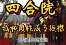 求四合院：我和傻柱成了连襟儿小说免费资源-薯片文学