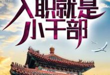 《四合院：啃老亲舅舅，入职就是小干部》小说大结局免费试读 李安业小说-薯片文学