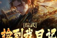 完结版《综武：捡到我日记，师娘心凉了》章节目录在线阅读-薯片文学