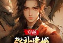 张无忌小说《在下张无忌，横行无忌！》在线阅读-薯片文学