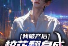 《我破产后，校花翻身成总裁要养我？》全集免费在线阅读（陈述苏晴晚）-薯片文学