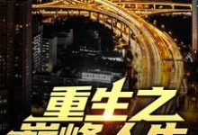 寻找能够免费阅读重生之巅峰人生小说的平台-薯片文学