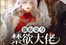 强取豪夺:禁欲大佬独宠我一人沈摘星池骁小说完结版章节在线阅读-薯片文学