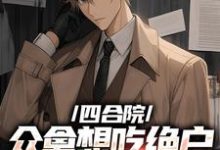 四合院众禽想吃绝户，我一一反杀小说的免费电子版在哪里可以下载或阅读？-薯片文学