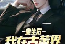 已完结小说《重生后,我在古董界当神豪》章节免费阅读-薯片文学