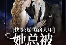 完结版《快穿:娇美路人甲她总被男主觊觎》章节阅读-薯片文学