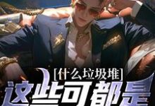 什么垃圾堆?这些可都是科技神器!这本小说在哪里可以看?哪里有免费试读章节?-薯片文学