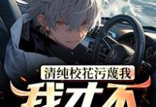 曹昆小说完结版在线阅读，清纯校花污蔑我，我才不救人了免费看-薯片文学