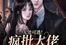 无处可逃！疯批大佬强制爱这本小说怎么样？免费在线阅读试试-薯片文学