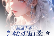 已完结小说《被逼下乡?转头相亲嫁首长被娇宠》章节在线阅读-薯片文学