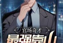 官场奇才:最强靠山竟是我自己这本小说怎么样?免费在线阅读试试-薯片文学