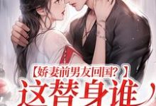《娇妻前男友回国？这替身谁爱当谁当》小说章节在线试读，《娇妻前男友回国？这替身谁爱当谁当》最新章节目录-薯片文学