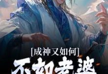 成神又如何,不如老婆孩子热炕头这本小说完结了吗?免费查看最新章节-薯片文学