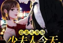 追妻火葬场:少夫人今天又硬气了林墨染傅潮生,追妻火葬场:少夫人今天又硬气了小说免费阅读-薯片文学