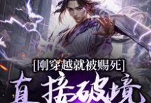 刚穿越就被赐死，直接破境陆地神仙小说的免费电子版在哪里可以下载或阅读？-薯片文学