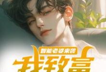 《智能老婆来袭,我致富全靠躺》小说苏富夏李紫苏章节章节免费在线阅读-薯片文学