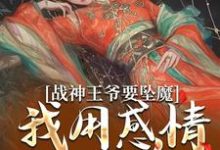 战神王爷要坠魔,我用感情拯救他苏婉清陆少卿小说大结局免费试读-薯片文学