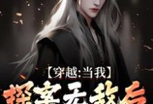 《穿越：当我探案无敌后，身份被爆了》小说章节在线试读，《穿越：当我探案无敌后，身份被爆了》最新章节目录-薯片文学