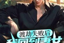 渡劫失败后,我回到妻女去世前小说,渡劫失败后,我回到妻女去世前最新章节-薯片文学