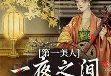 《第一美人,一夜之间沦为笑柄》小说大结局免费试读 沐青婼楚云珩小说-薯片文学