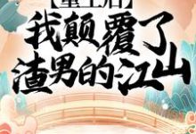 完结版《重生后，我颠覆了渣男的江山！》免费阅读-薯片文学