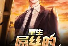 重生：屌丝的逆袭之路这本小说在哪里可以看？哪里有免费试读章节？-薯片文学