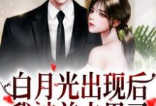已完结小说《白月光出现后,我被前夫甩了》在线章节阅读-薯片文学