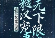 小说《逃荒女变富婆:糙汉宠妻无下限?》章节免费阅读-薯片文学