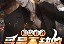 《向钱看齐？哥最不缺的就是这个》全集免费在线阅读（李晓峰方慧雅）-薯片文学