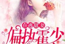 苏绵绵霍司衍小说《在逃甜妻:偏执霍少放肆宠》在线阅读-薯片文学