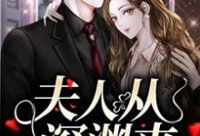 夫人从深渊来这本小说在哪里可以看？哪里有免费试读章节？-薯片文学