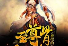 小说《至尊骨被挖的我黑化了》章节免费阅读-薯片文学