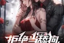 神豪：拒绝当舔狗，我要做渣男小说的免费电子版在哪里可以下载或阅读？-薯片文学