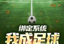 绑定系统:我成足球小飞人免费阅读,绑定系统:我成足球小飞人章节目录-薯片文学