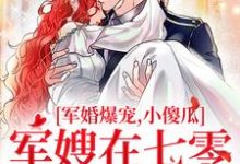 军婚爆宠，小傻瓜军嫂在七零赢麻了免费阅读，军婚爆宠，小傻瓜军嫂在七零赢麻了许烟宋言彻-薯片文学