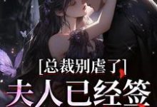 总裁别虐了，夫人已经签了离婚书章节免费在线阅读，许愿傅京礼完结版-薯片文学
