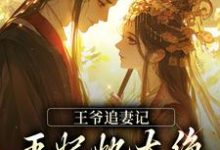 完结版《王爷追妻记:王妃她太绝,藏不住啦》章节目录在线阅读-薯片文学