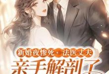 新婚夜惨死,法医丈夫亲手解剖了我的尸体这本小说完结了吗?免费查看最新章节-薯片文学