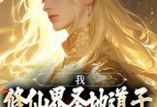 我，修仙界圣地道子，不讲武德！小说，我，修仙界圣地道子，不讲武德！免费阅读-薯片文学