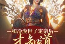 小说《和冷漠世子定亲后,才知道他的真心》章节阅读-薯片文学