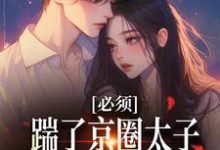 已完结小说《必须踹了京圈太子?我先怀个娃再说》在线章节阅读-薯片文学