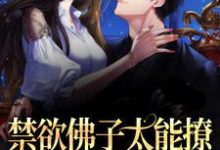 求推荐可以免费阅读禁欲佛子太能撩,她意乱情迷了小说的网站-薯片文学